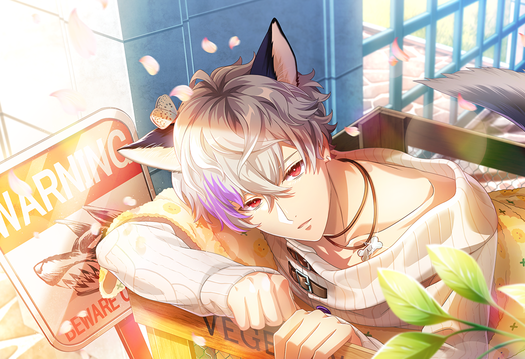 card_0001_004_01.png
